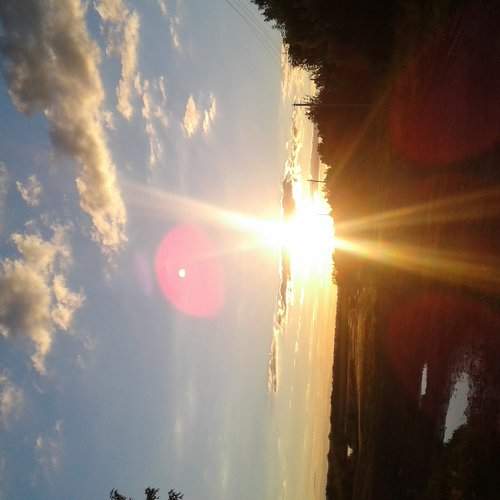 Photo #2403211