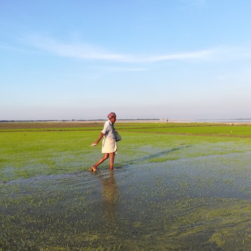 Farmer