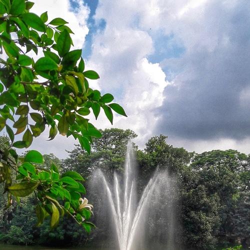 Photo #2407839