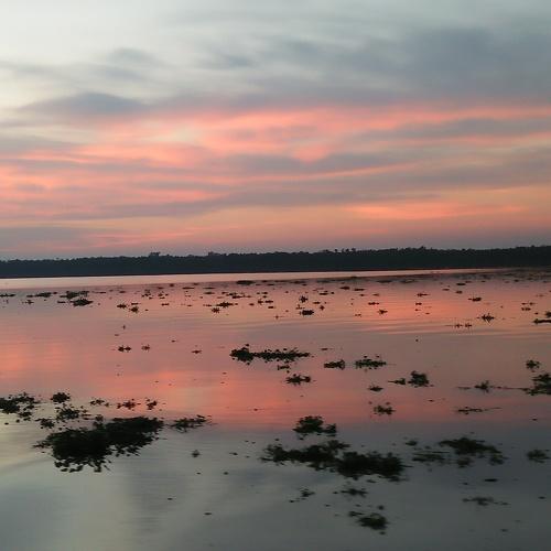 The beauty of Nature