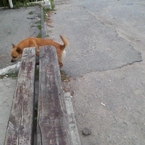 Кузя