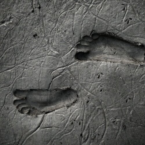 The Foot Print.