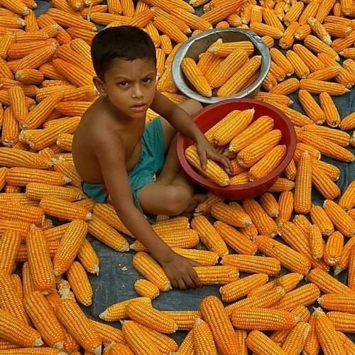 Child whit his work