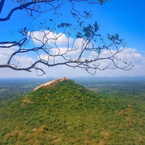 Pidurangala mountain