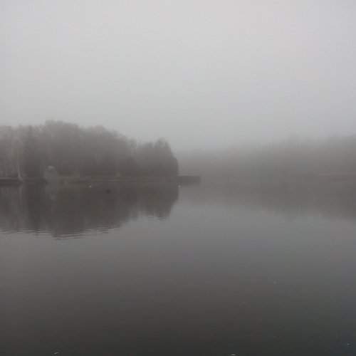 Photo #2411395