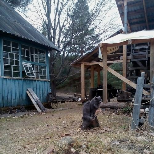 Photo #2411398