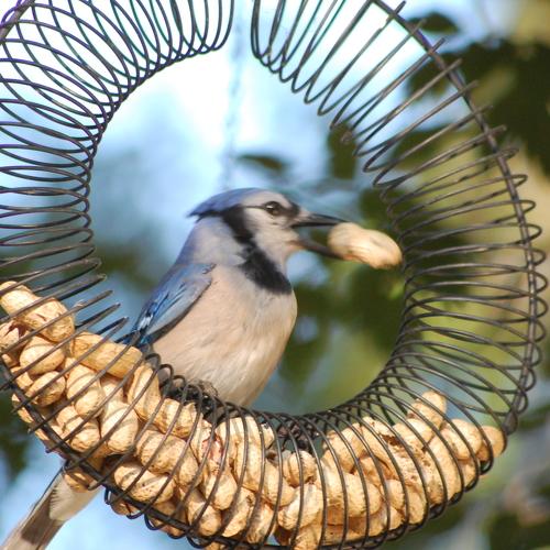 snacktime