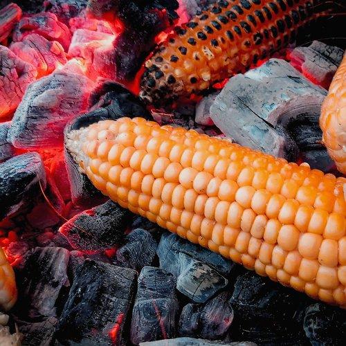 Seasons food.