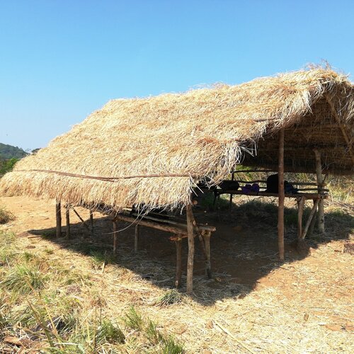 Hut