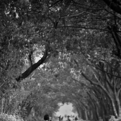 Walk alone