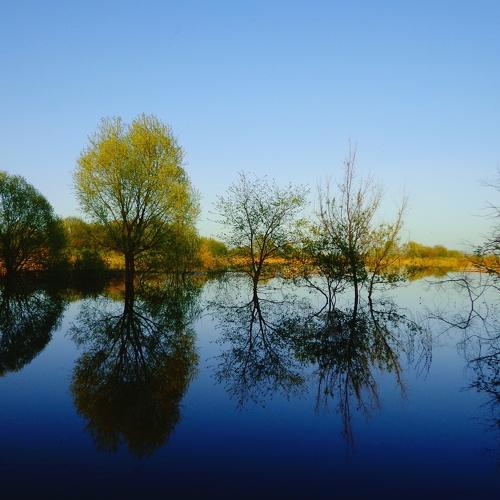 Photo #2413456