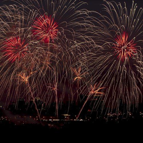 Photo #2413605