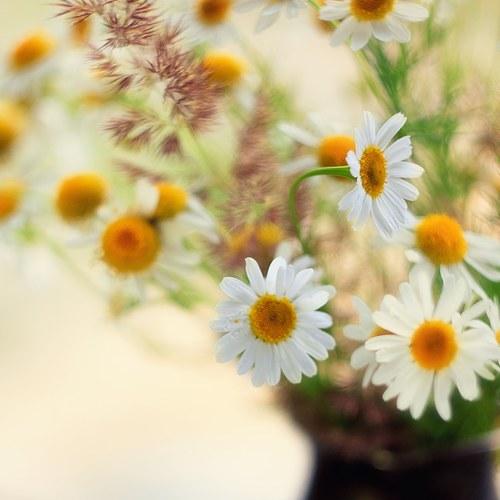 Photo #2414350