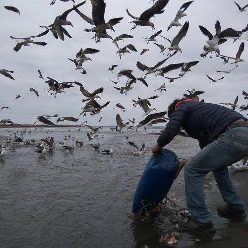 Pescador para todos