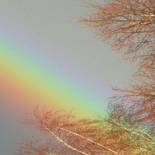 Радужные мотивы.
