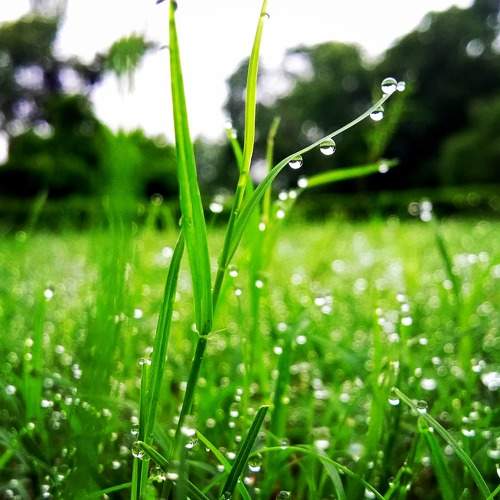 Morning drop!!