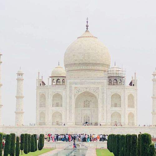 Wow Taj!!!