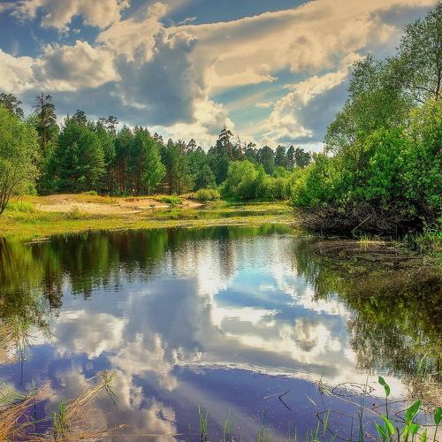 Photo #2417406