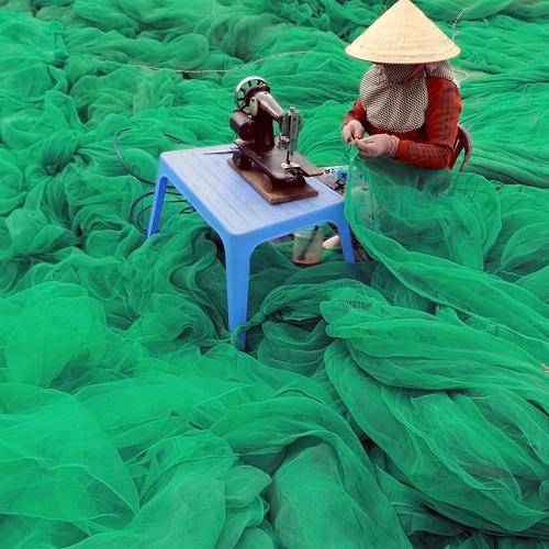 Fixing net