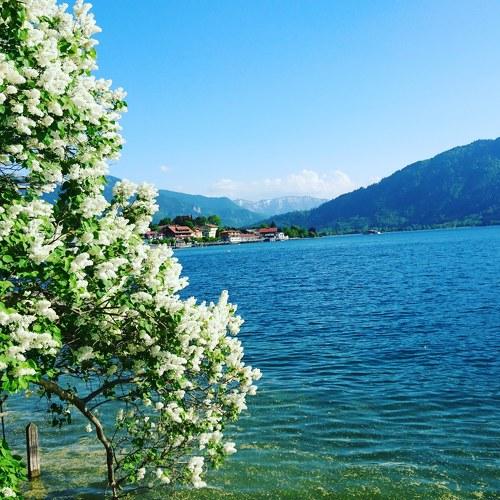 Tegernsee