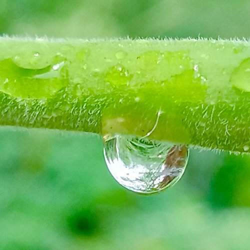 Drop