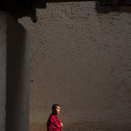 The Walking Monk