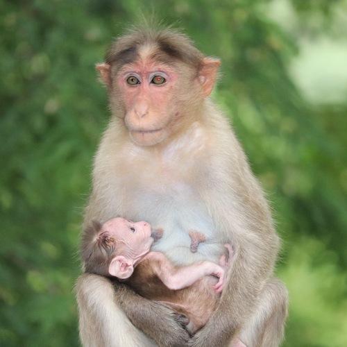 Poverty not only plays with humans