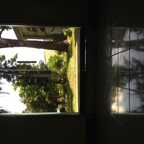 To escape from reality