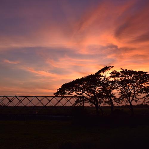 sunset