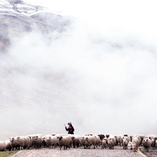 Madre cordillera