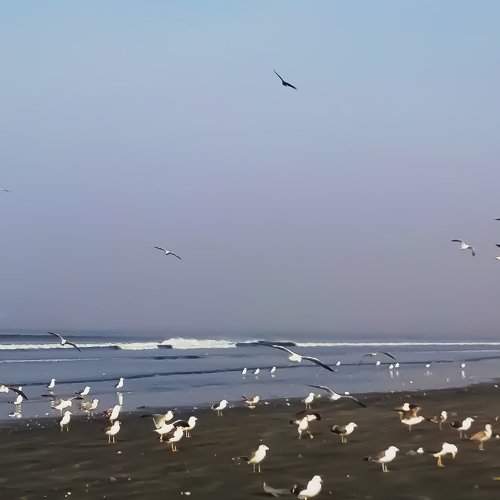 Wonders of Nature