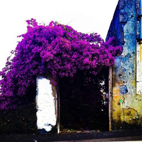 ColorPlay