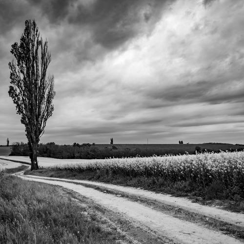 Dirt road