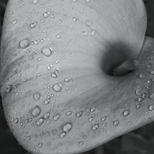 Gotas de lluvia