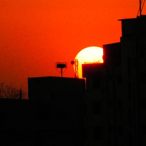 The Sunset