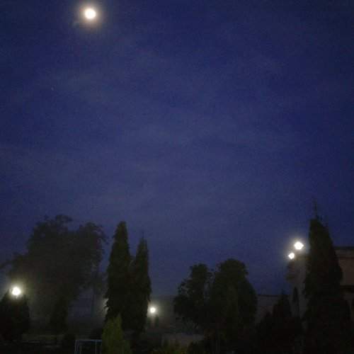 Photo #2428331