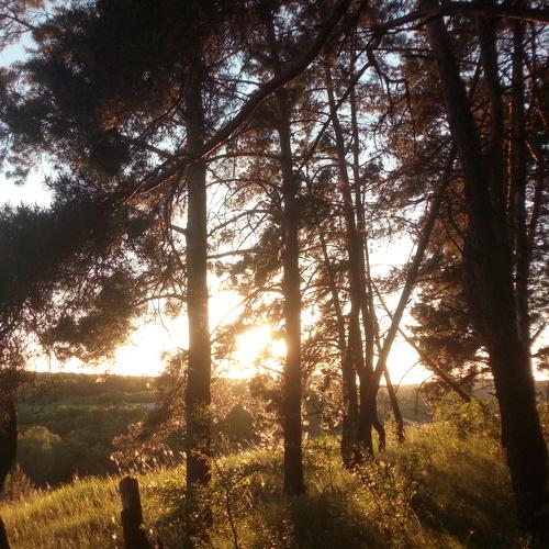 Photo #2428365