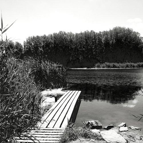 Photo #2429037