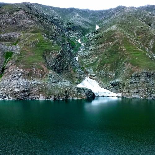 Photo #2429438