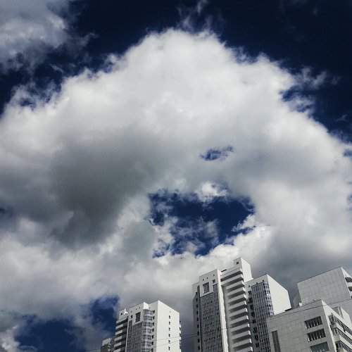 Photo #2429468