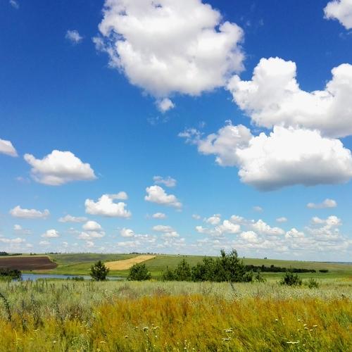 Photo #2429564