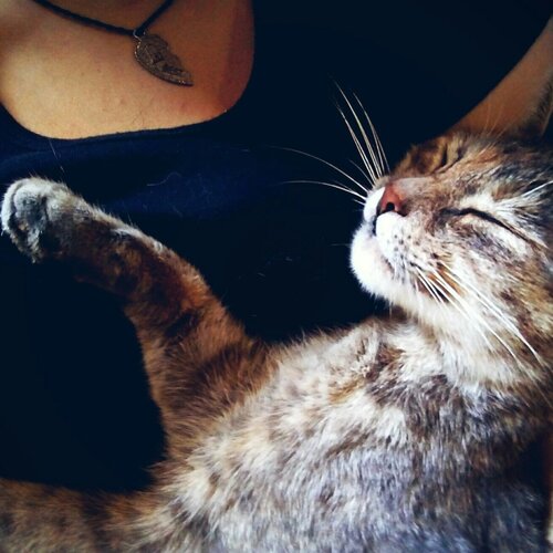 Photo #2430613