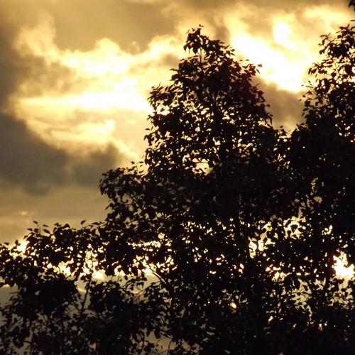 sun light orange.....