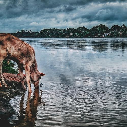 Ganga-The lifeline of India