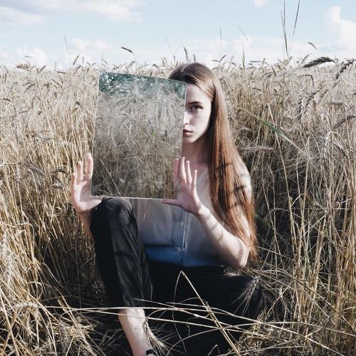 Photo #2434068