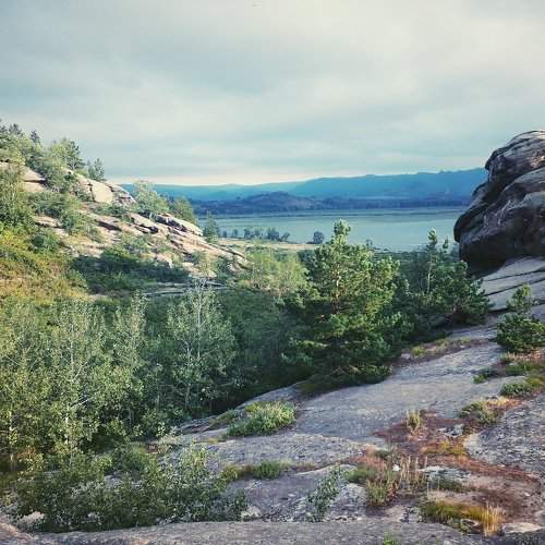 Photo #2434127