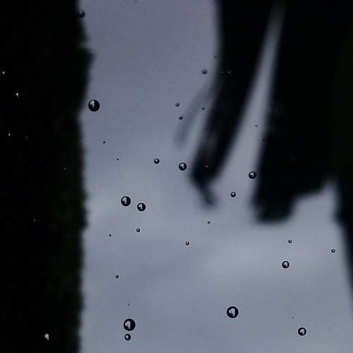 Monsoon Drops...