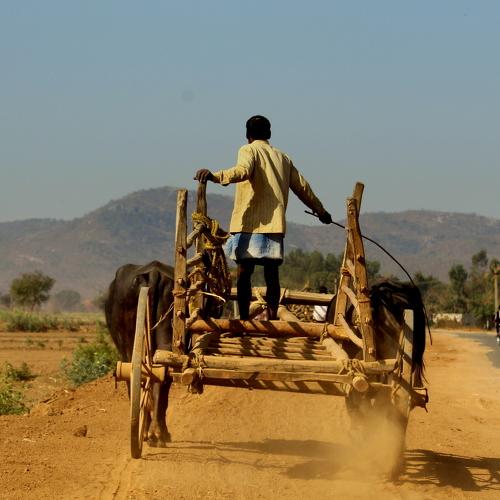 Rural transport, Street photos