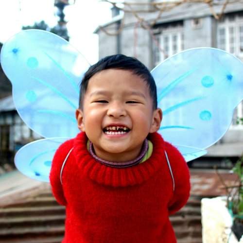 Little angel wing