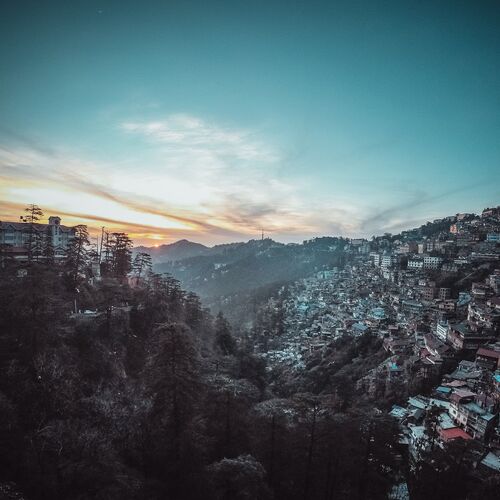 Shimla